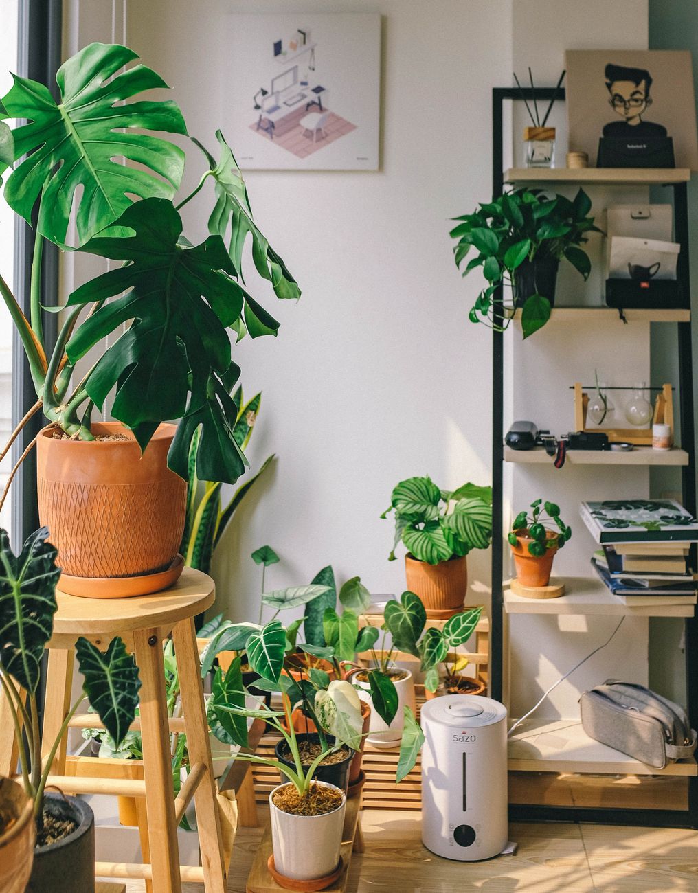 Best Whole House Humidifier: Top Picks for Large Homes, Smart Controls, and Long Runtime in 2026